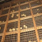 Sprout Waldron / Andrtiz Sifter的缩略图4.5 X 8