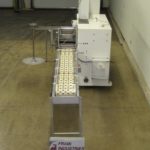 圆形形状和填充缩略图无填充头H12X2D