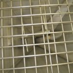 Spee Dee Filler Powder Auger DIGITRONIC 2000缩略图