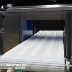 缩略图洛玛金属探测器输送机IQ3+E