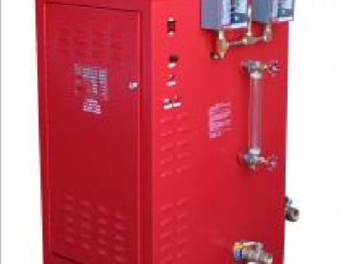 Pacfic Steam Equipment Inc锅炉PSE108照片